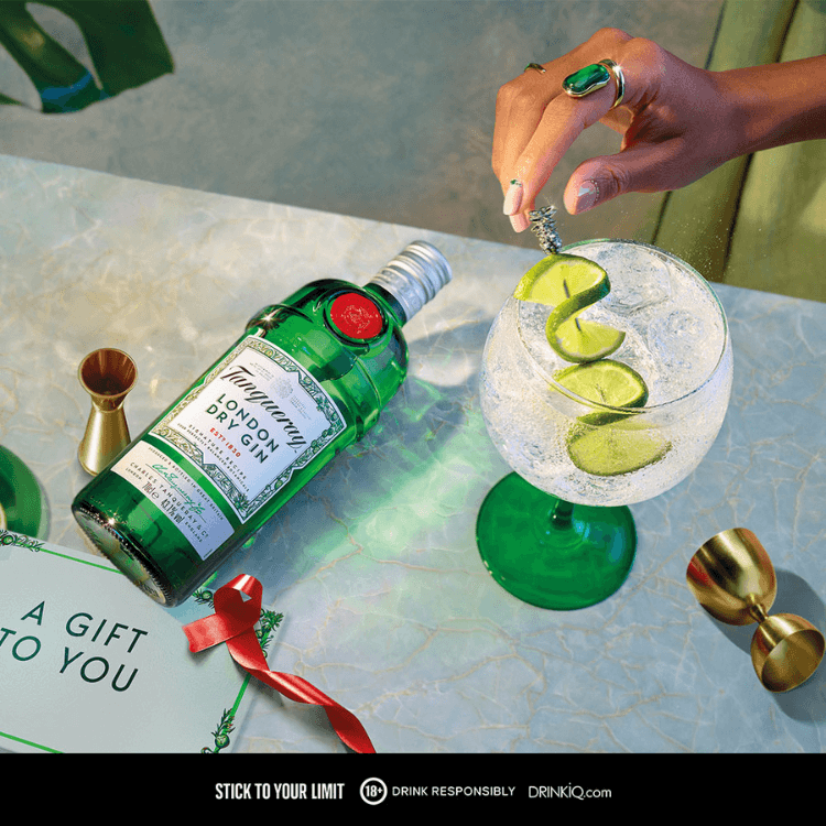 Tanqueray London Dry Gin and Coppa Glass Bundle