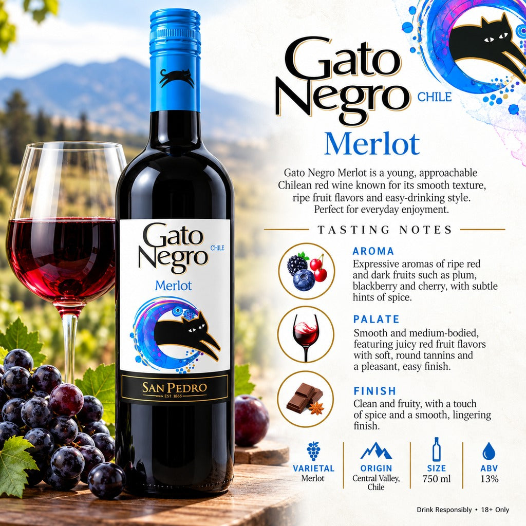 Gato Negro Merlot Chilean Red Wine 750ml infographic with tasting notes